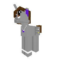 New Pony