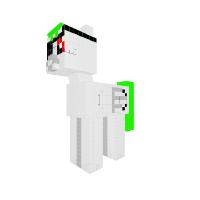 nomal pony with eye pach