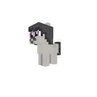 filly octavia (blank flank)