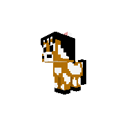 Paint horse