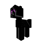 unknown pony