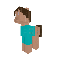 STEVE FROM MINECRAFT