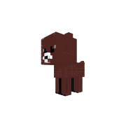 Beary  pup