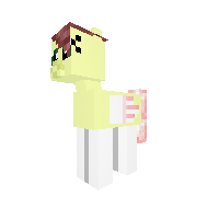 New Pony