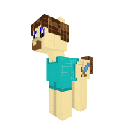 Steve Pony