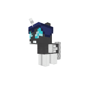 New Pony