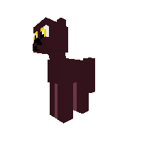 New Pony