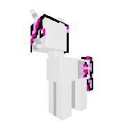 evri pony
