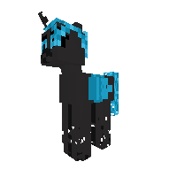 New Pony