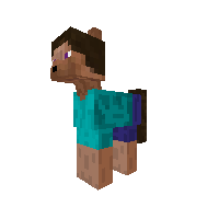 its steve