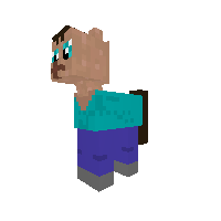 MINECRAFT steev