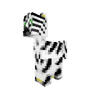 Unnamed Zebra