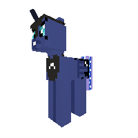 New Pony