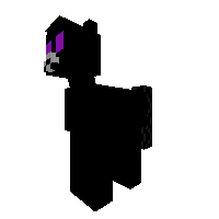 Ender Pony