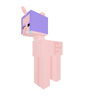 cancer