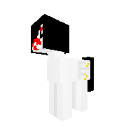 Skile Shine