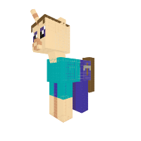 steve