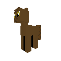 Barn Pony