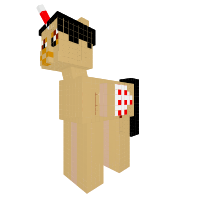 Japan Pony