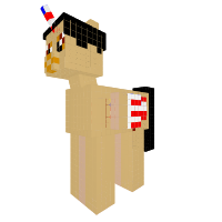 USA Pony