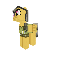 New Pony