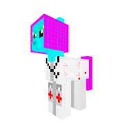 the docter pony