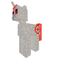 Drone guy