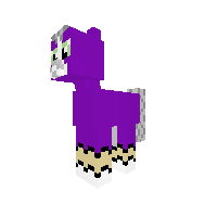 New Pony