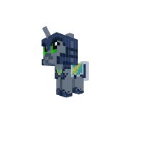 Gaurd Pony 1st