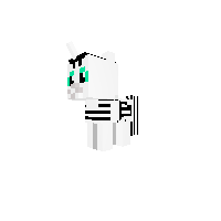 Mini Coach Pony