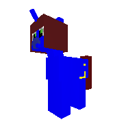 New Pony