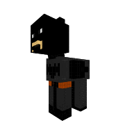 THE DARK PONY KNIGHT