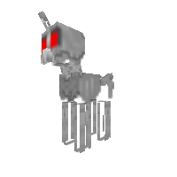 Skeleton