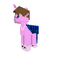 New Pony