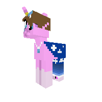 New Pony Gala