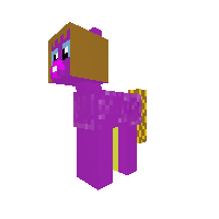 New Pony