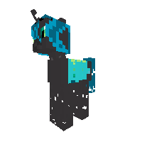 New Pony