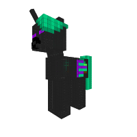Ender princess