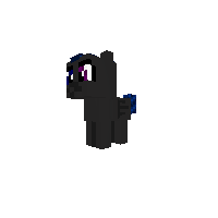Raven Star filly