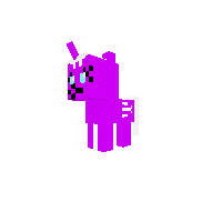 New Pony