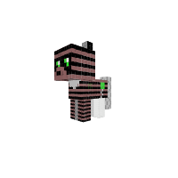 RaccoonPony