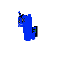 New Pony