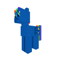 Rainbow night