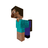 steave