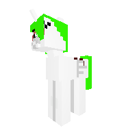 New Pony