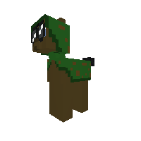 PonyHidden