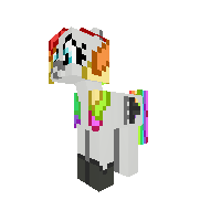 followers pony