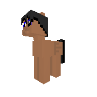 Wonder NPC