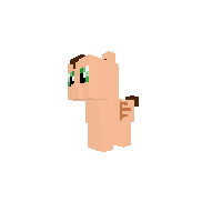Derick James