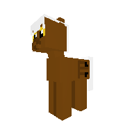 Me as a Pony
